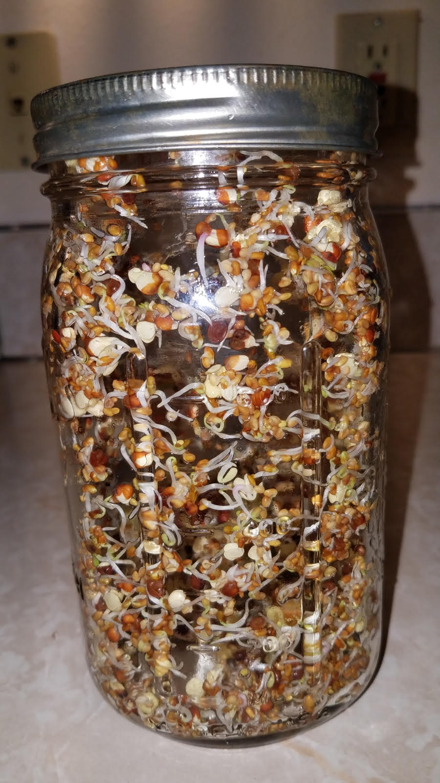 sprouts.jpg