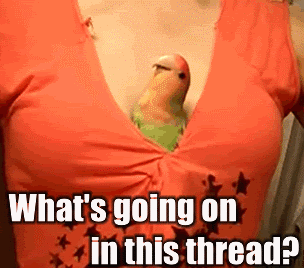 7ee77787-2a06-4d05-9c36-27e7d5ee8bf1.gif