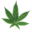 thecloneconservatory.com