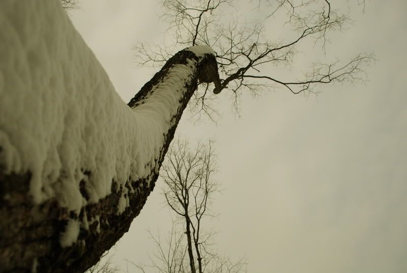 CSC_0110.jpg
