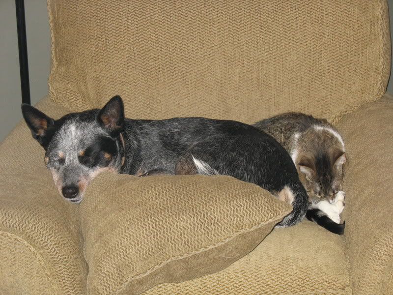 IMG_0244.jpg
