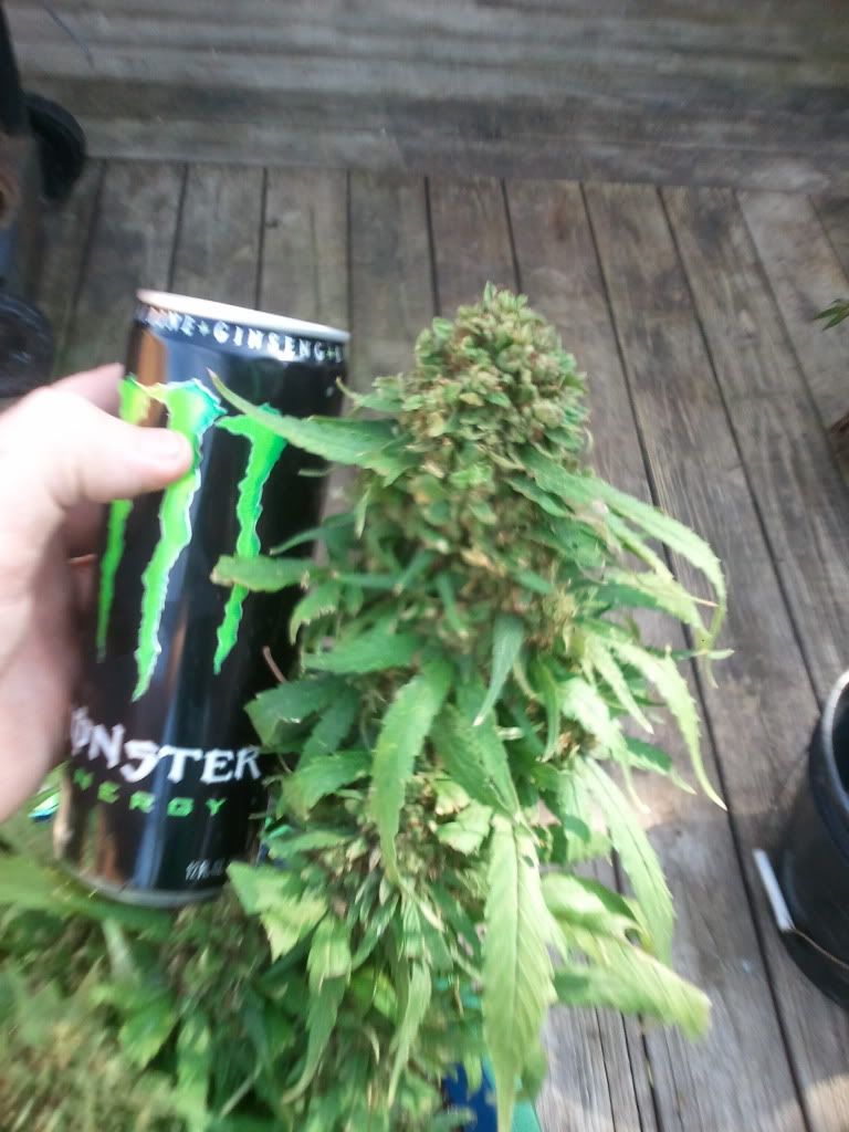 2012-07-17161816.jpg