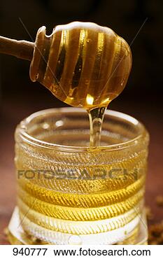 honey-running-honey_%7E940777.jpg