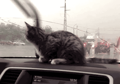I22j3Qv.gif