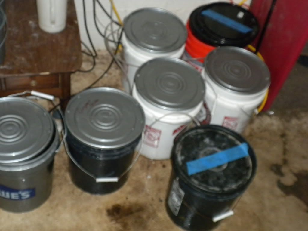 DSCN2441.jpg