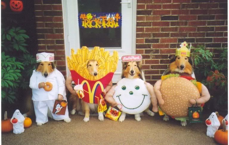 dog3.jpg
