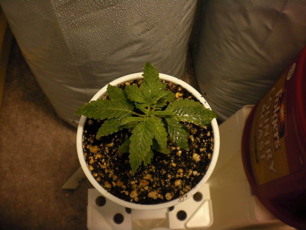 10-11-11008.jpg