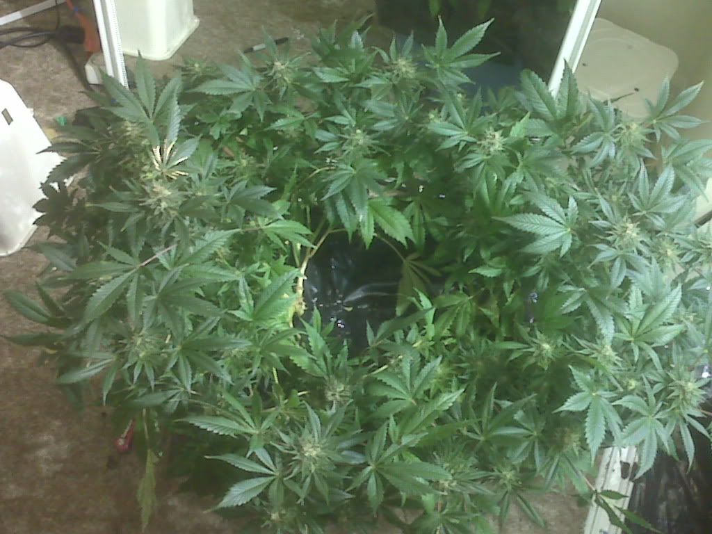 IMG00896.jpg