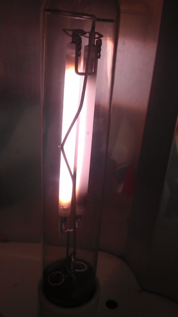 IMAG0624_zpsc0f7d54a.jpg