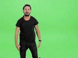 giphy.webp