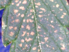 4300451665_26c6d29ef3_m.jpg
