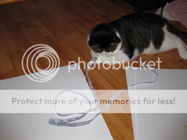 20090221_22.jpg