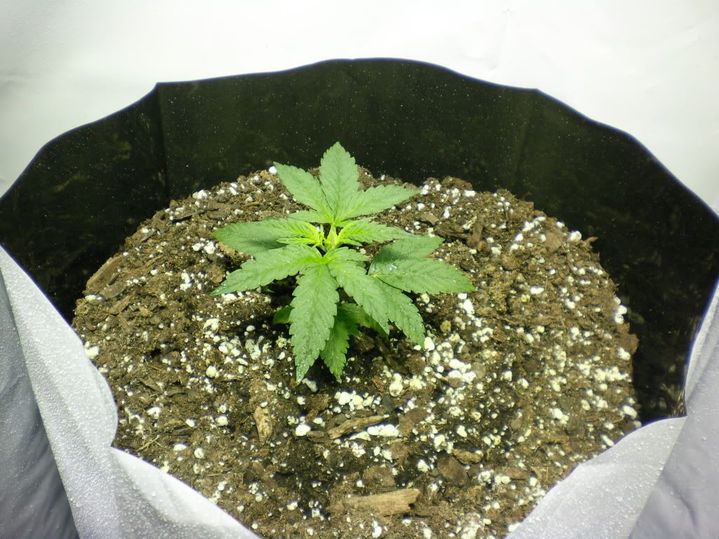 10-11-11003.jpg