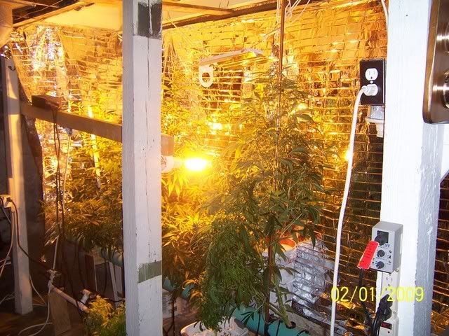 100_1231.jpg