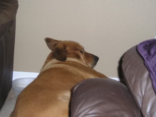 sleepy_boy1.jpg