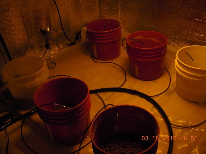 DSCN2101.jpg