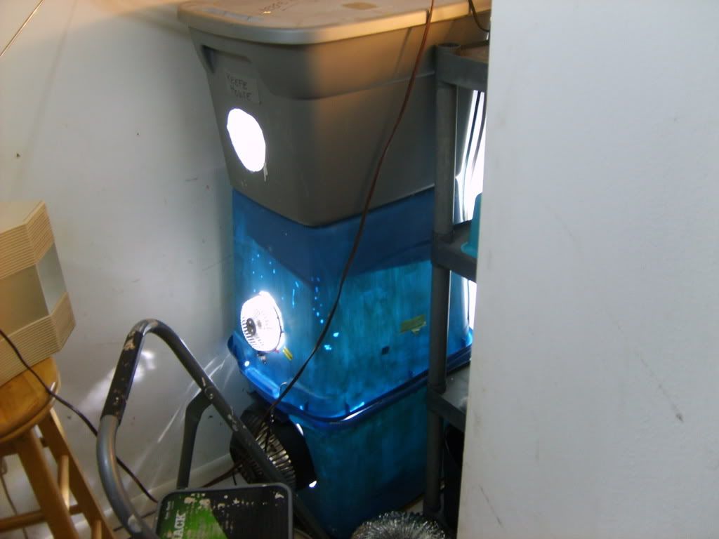 S5000863.jpg