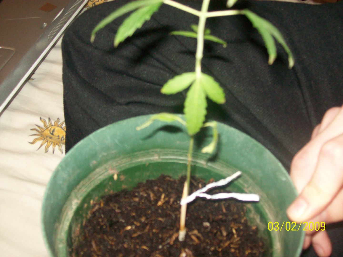 100_1006.jpg