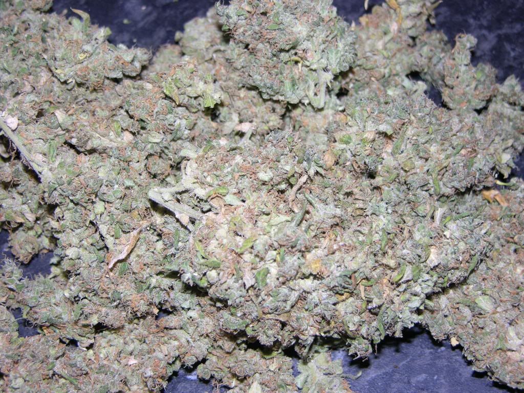 dry009.jpg