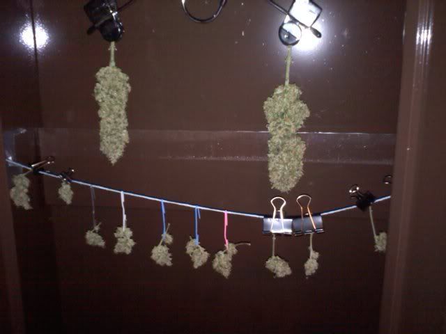 20120324132008.jpg