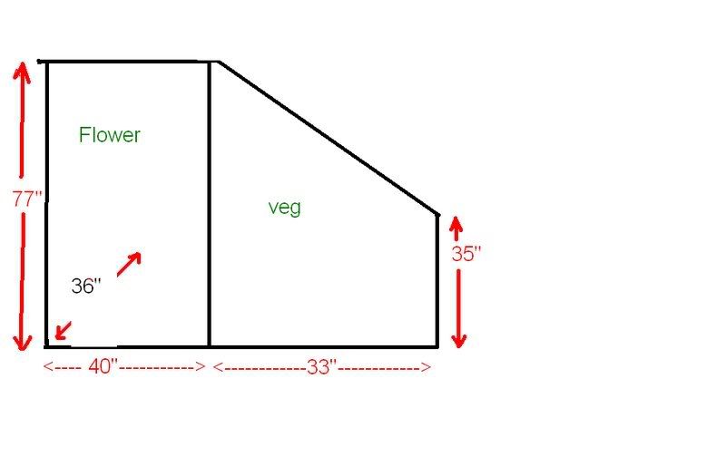 growroom.jpg