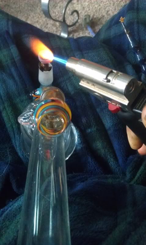IMAG0250.jpg