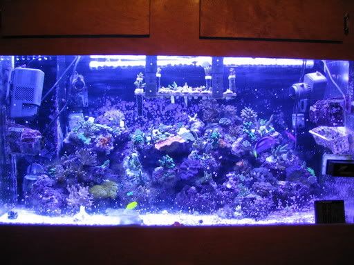 120_2050.jpg