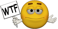 WTFlarger.gif