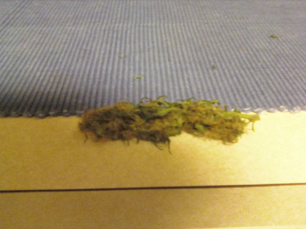 0912082021.jpg