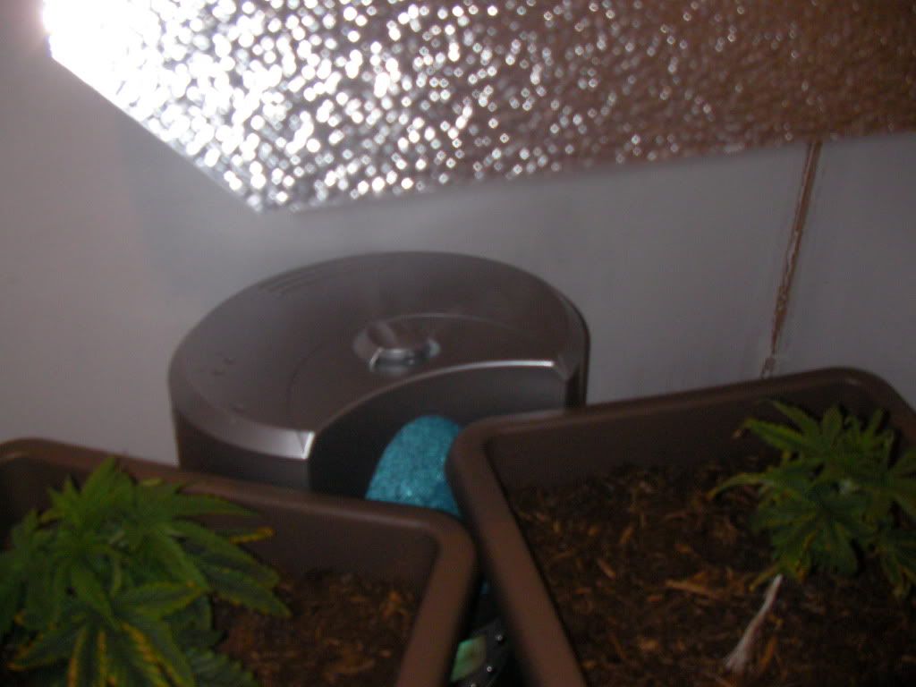 SANY0116.jpg