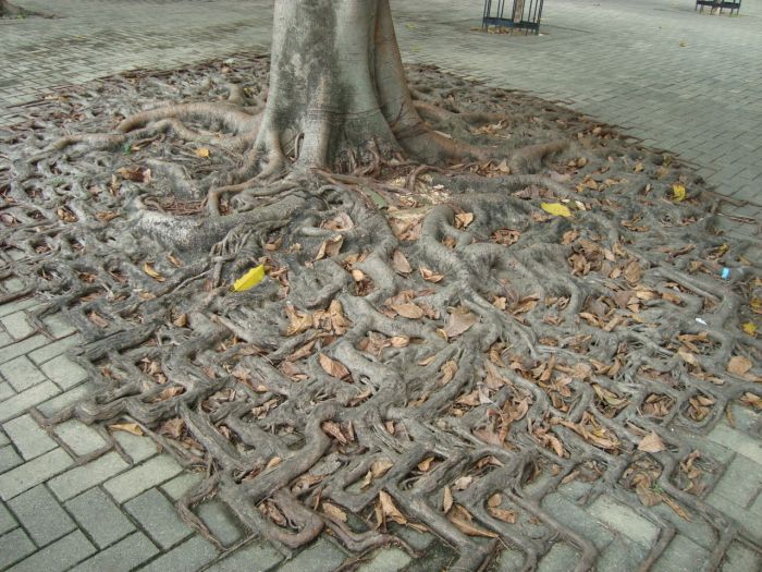 acid_picdump_17.jpg