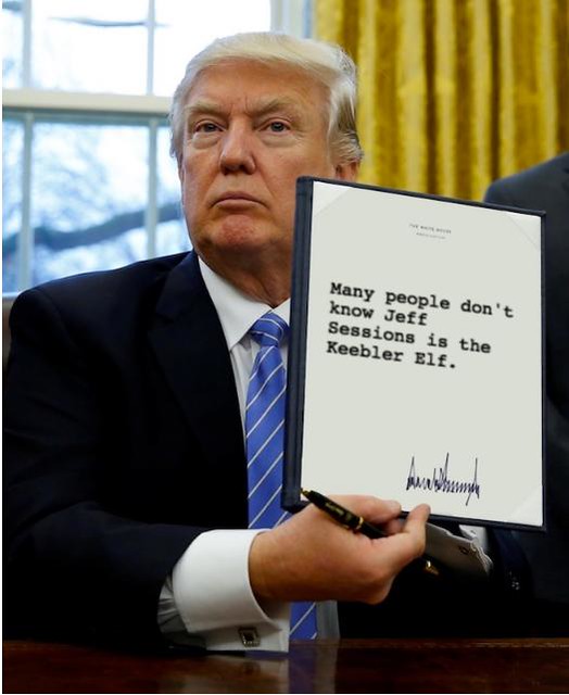 35211699941_84d16685d4_z.jpg