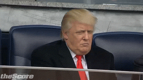 1OgT.gif