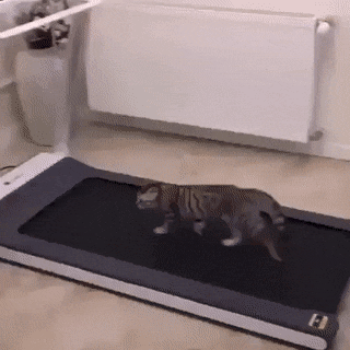 1656364241_3.gif