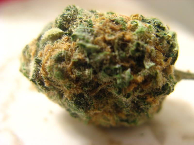 Smoke277.jpg