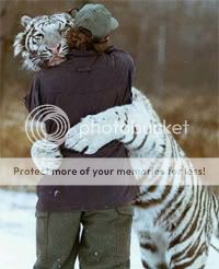 Untitled-1.jpg