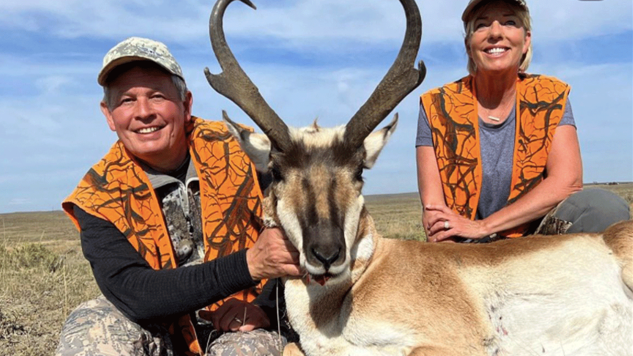Daines-2.gif