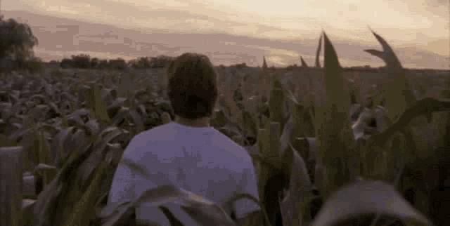 excited-dream.gif
