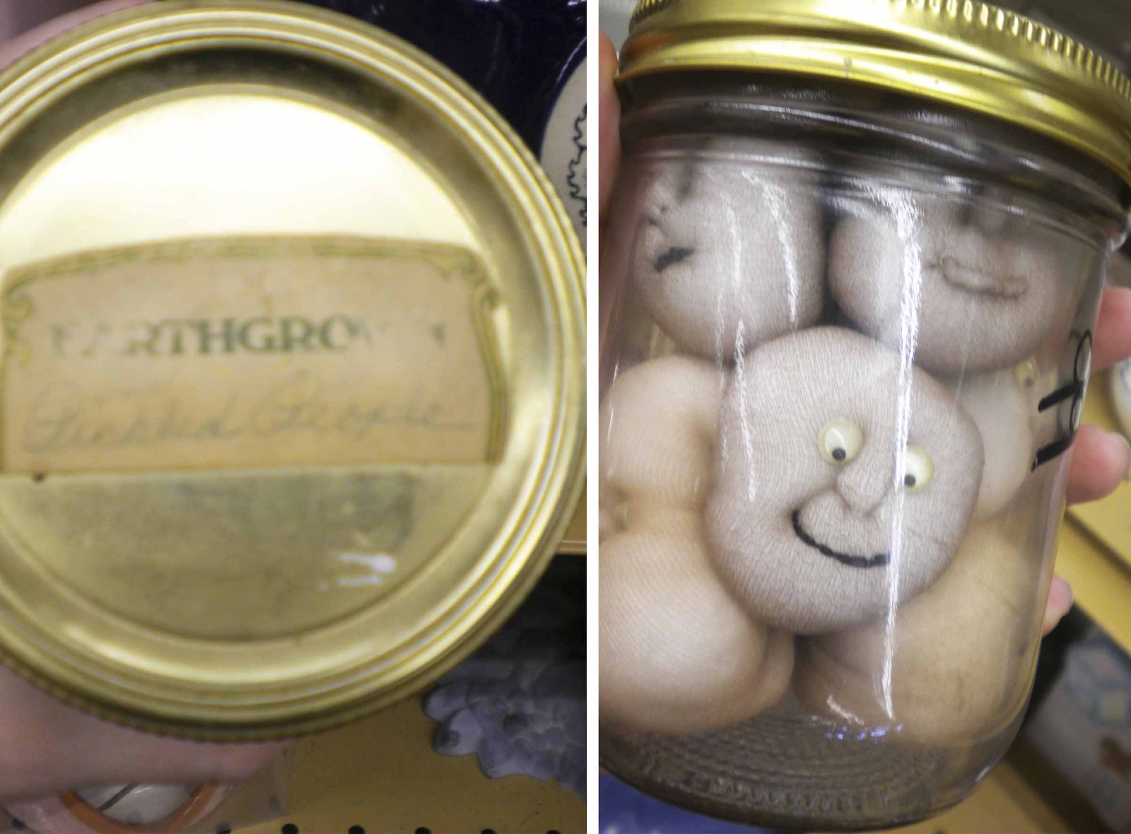 pickled+people.jpg