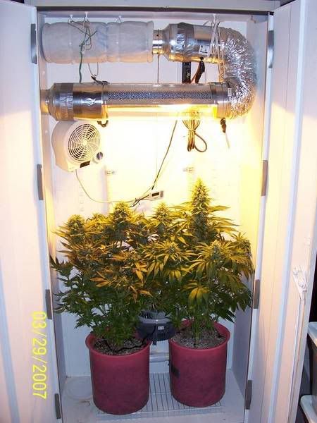candy_mix_jtr_day58_1.jpg