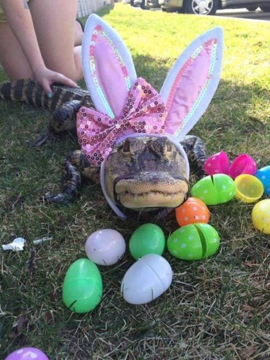acid_picdump_30.jpg