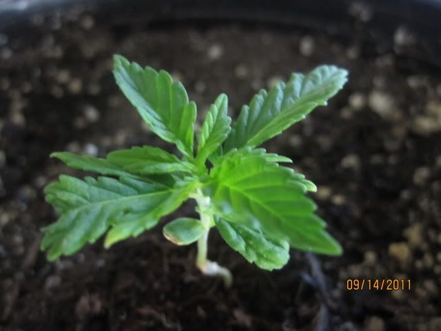IMG_0372.jpg