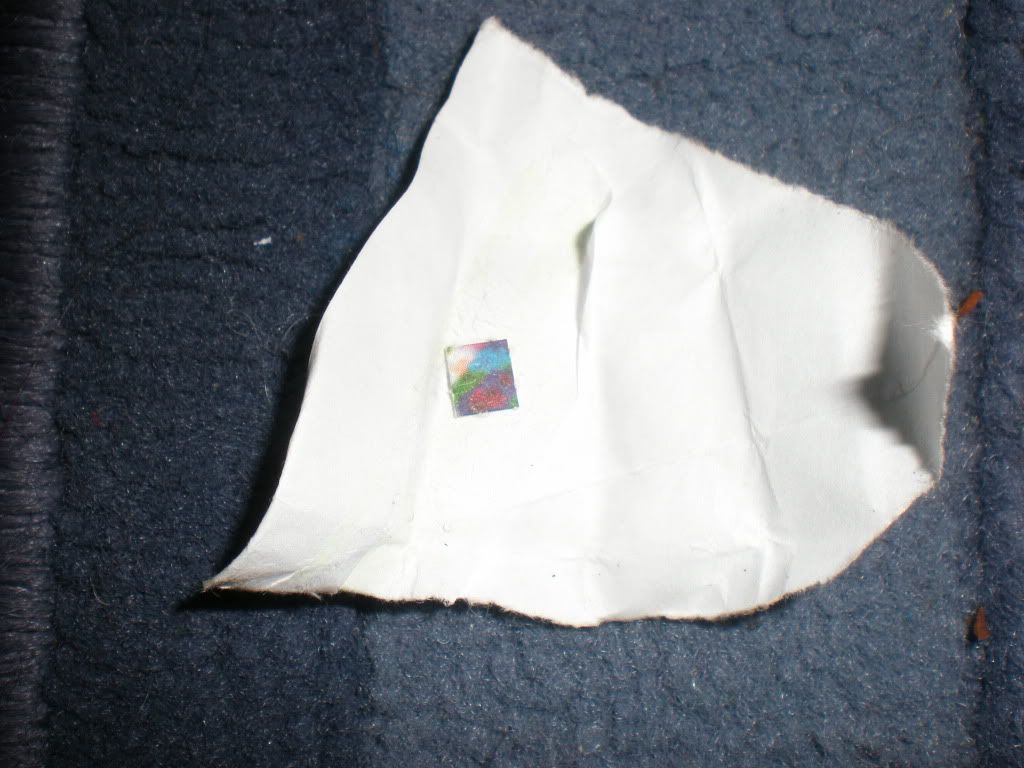 P8200034.jpg