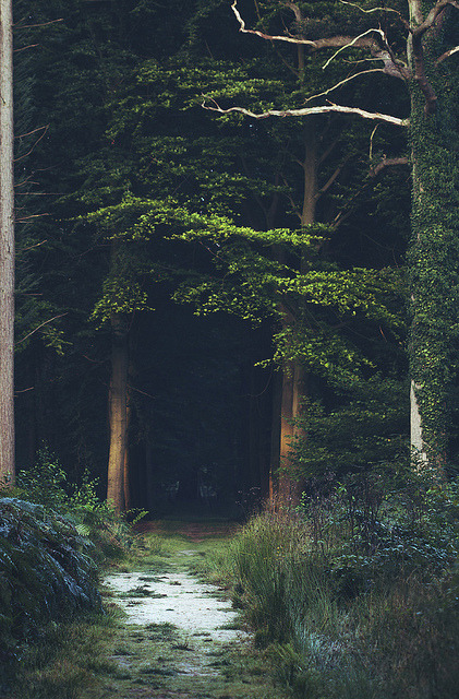 tumblr_mc16d6UDi51qeed9io1_500.jpg