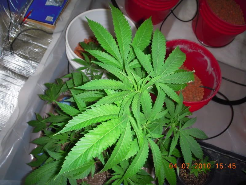 PK01012.jpg