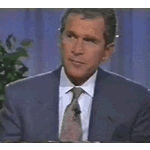 Bush_Finger.gif