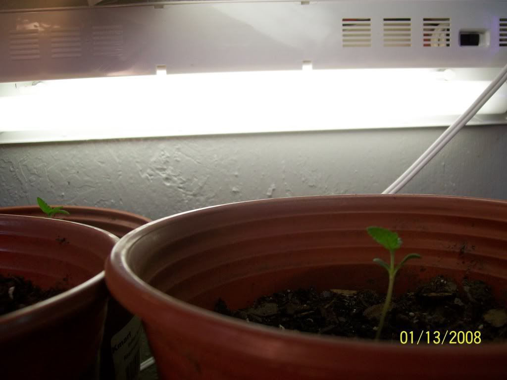 100_0638.jpg