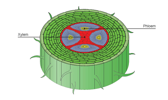 d097c73d4d5b4d4248892592de0d734fc4531937.gif