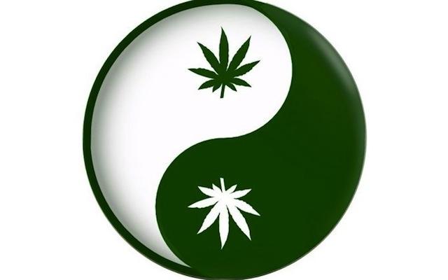 Yin%20Yang%20pot.jpg