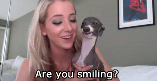 Jenna-Marbles-Dog-Kermit-Puts-On-a-Big-Smile.gif